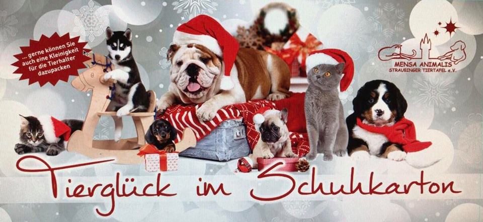 Aktion Tierglück im Schuhkarton
