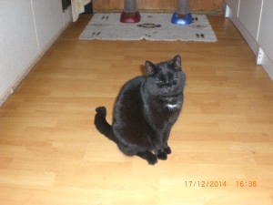 Blacky