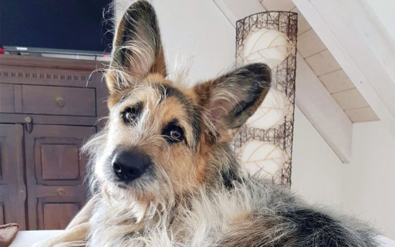 Max